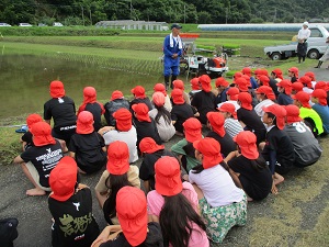 田植え