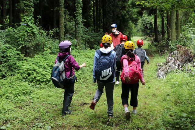 令和3年6月28日（月曜日)垂水小学校演習林活動「森のたんけんたい」