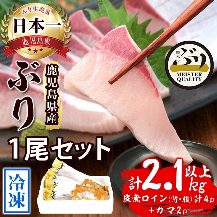 海産物5