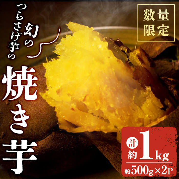 野菜・フルーツ6
