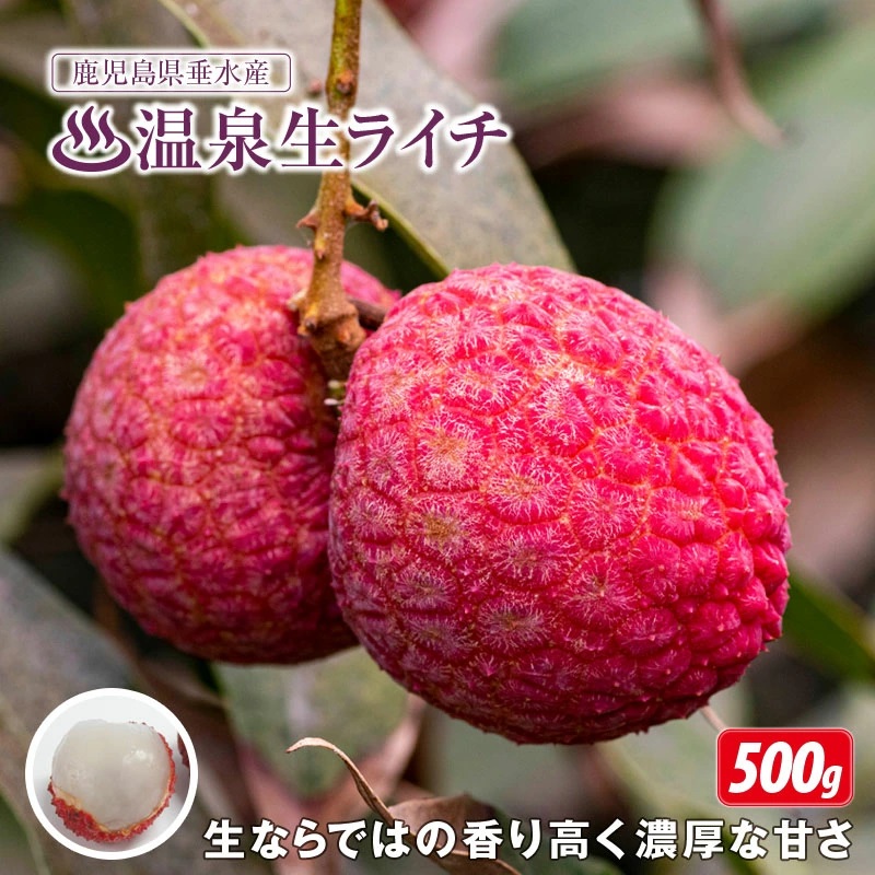 野菜・フルーツ8