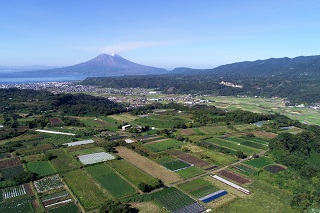 台地の恵みとまちの風景