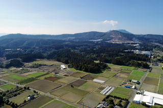 標高約550mの拓かれた台地