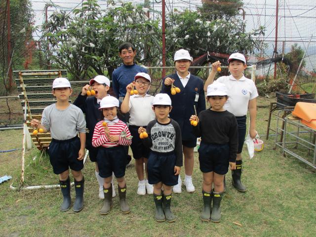 松ケ崎小学校の児童年間を通して栽培したびわを収穫！