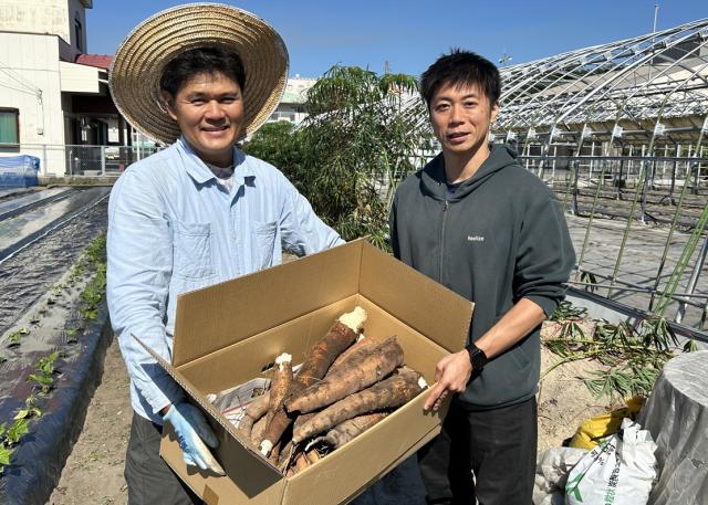 地域で実ったキャッサバイモ市内在住の外国の方々へ寄贈