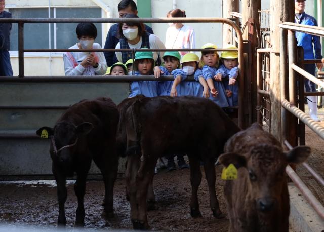 垂水市畜産振興会が第1回たるみず和牛食育活動