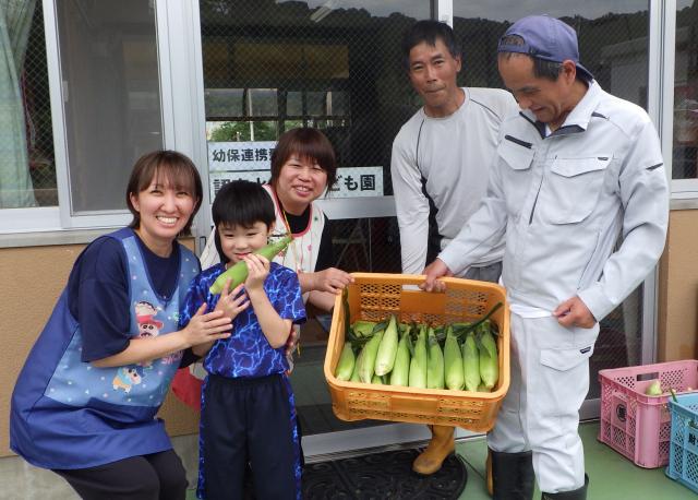 耕作放棄地解消事業によるトウモロコシ収穫