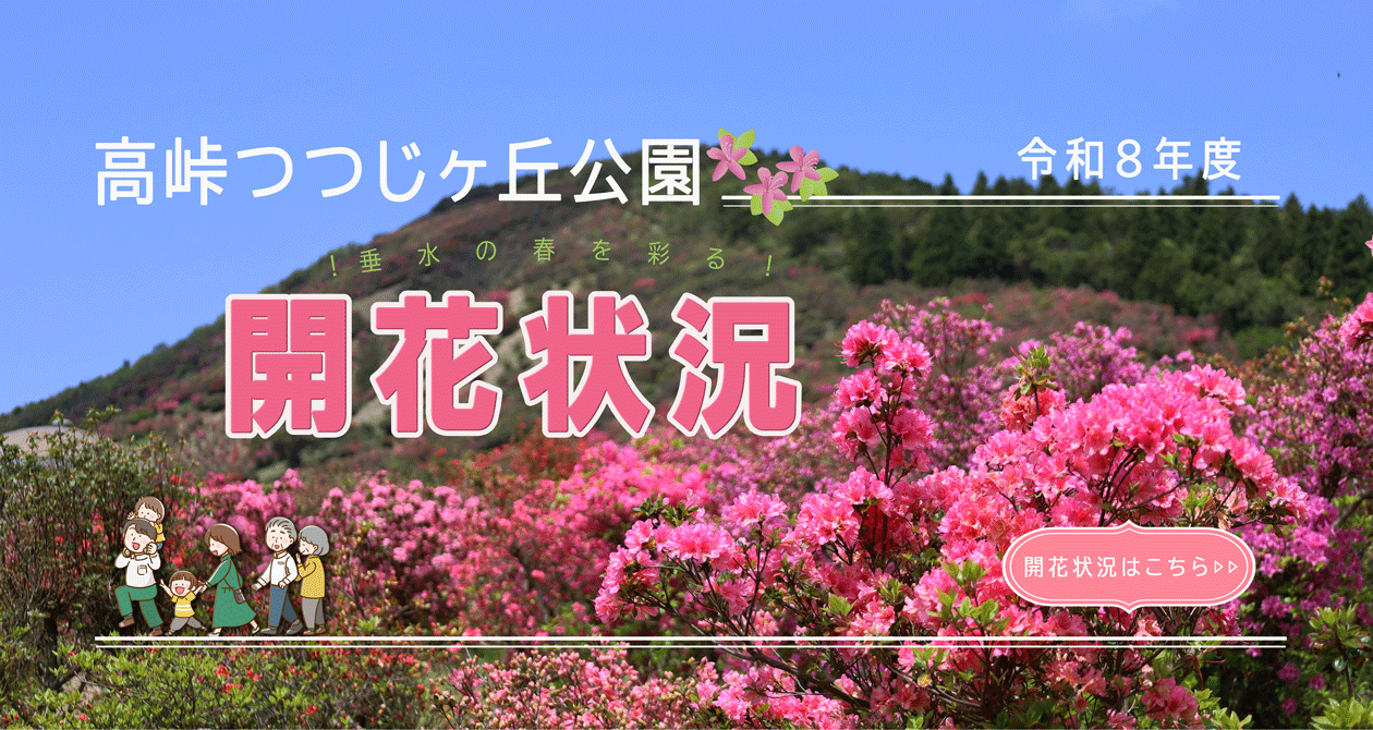 令和8年高峠つつじ開花状況