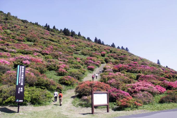 高峠つつじヶ丘公園全景2