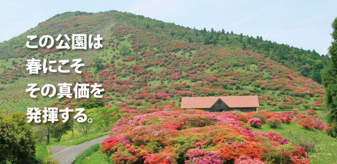 鹿児島県垂水市 高峠つつじヶ丘公園