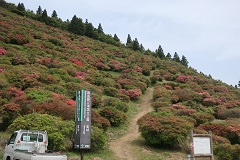 250507A