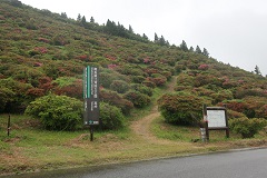 250509A