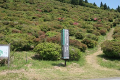250513A