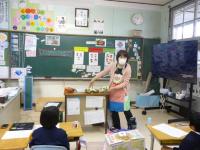 全体