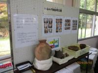 展示