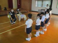 盲導犬2