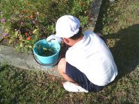 グリーンタイムショート14