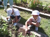 グリーンタイム5