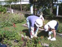 グリーンタイム6