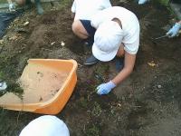 グリーンタイムショート5