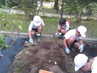 グリーンタイムショート6