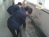 朝のボランティア活動水道掃除1