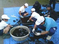 グリーンタイム16