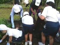 グリーンタイムショート10