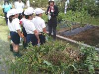 グリーンタイムショート7