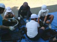 グリーンタイム10