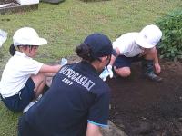 グリーンタイムショート12