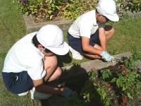 グリーンタイム7