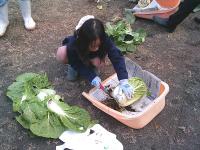 グリーンタイムショート14