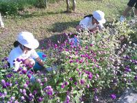 グリーンタイムショート13