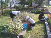 グリーンタイムショート15