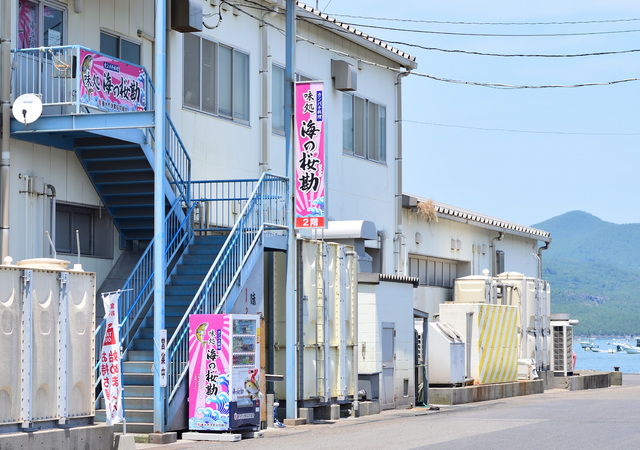 海の桜勘入口