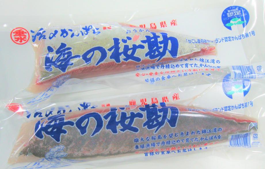 海の桜勘ロイン